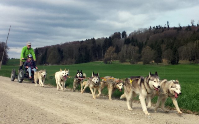 Ferienpass Mühlheim 2018 in Pfyn